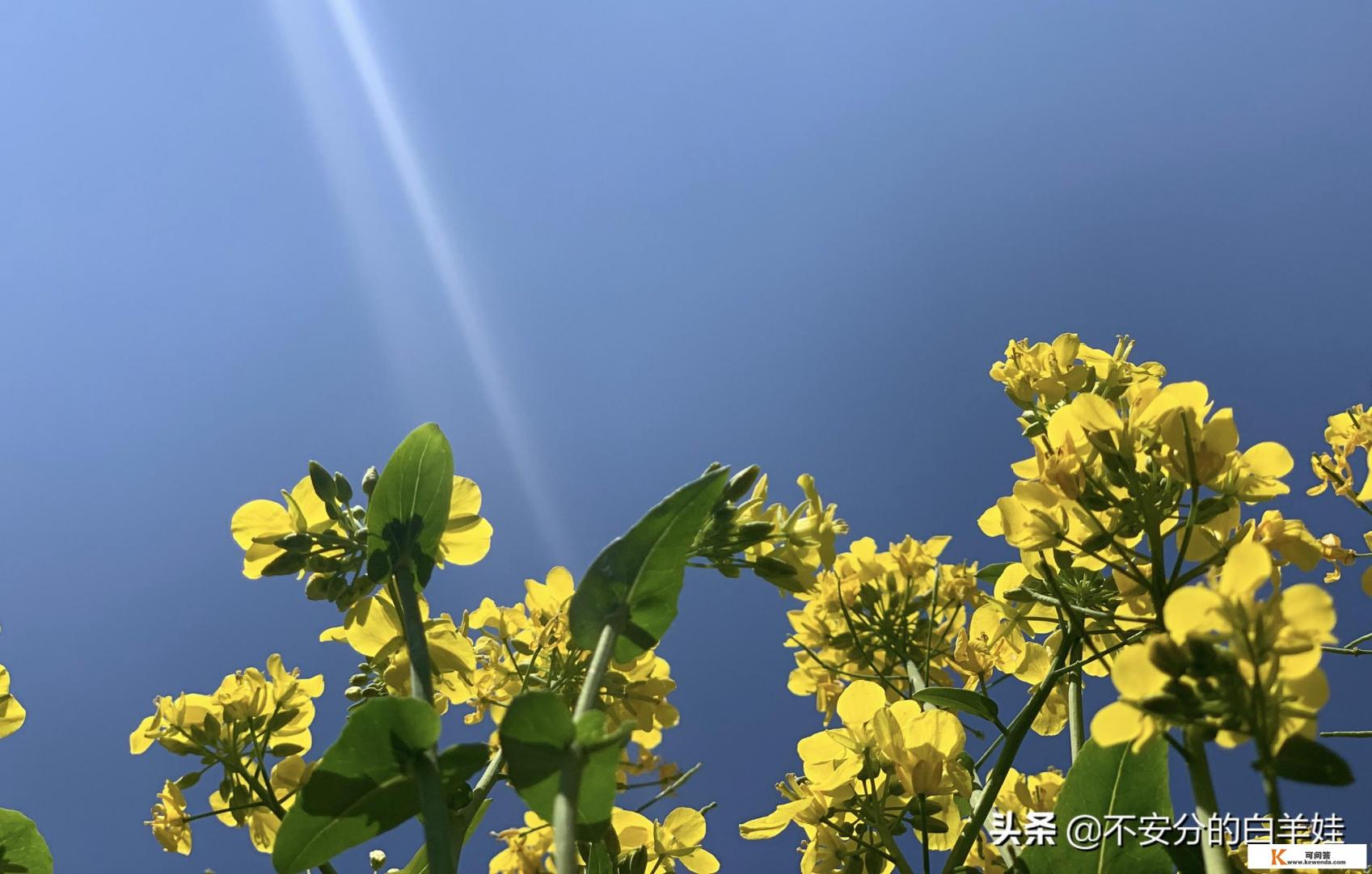 保定一日游有什么推荐的