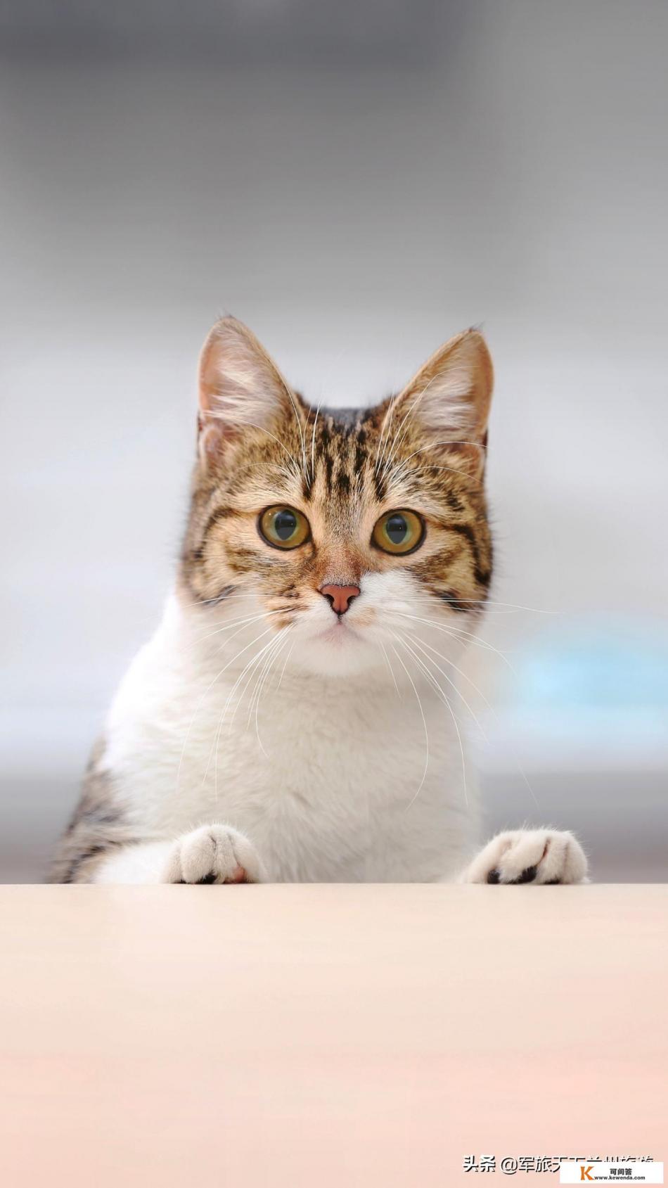 情人带着别人去旅游了我该怎么办 情人带着别人去旅游了我该怎么办