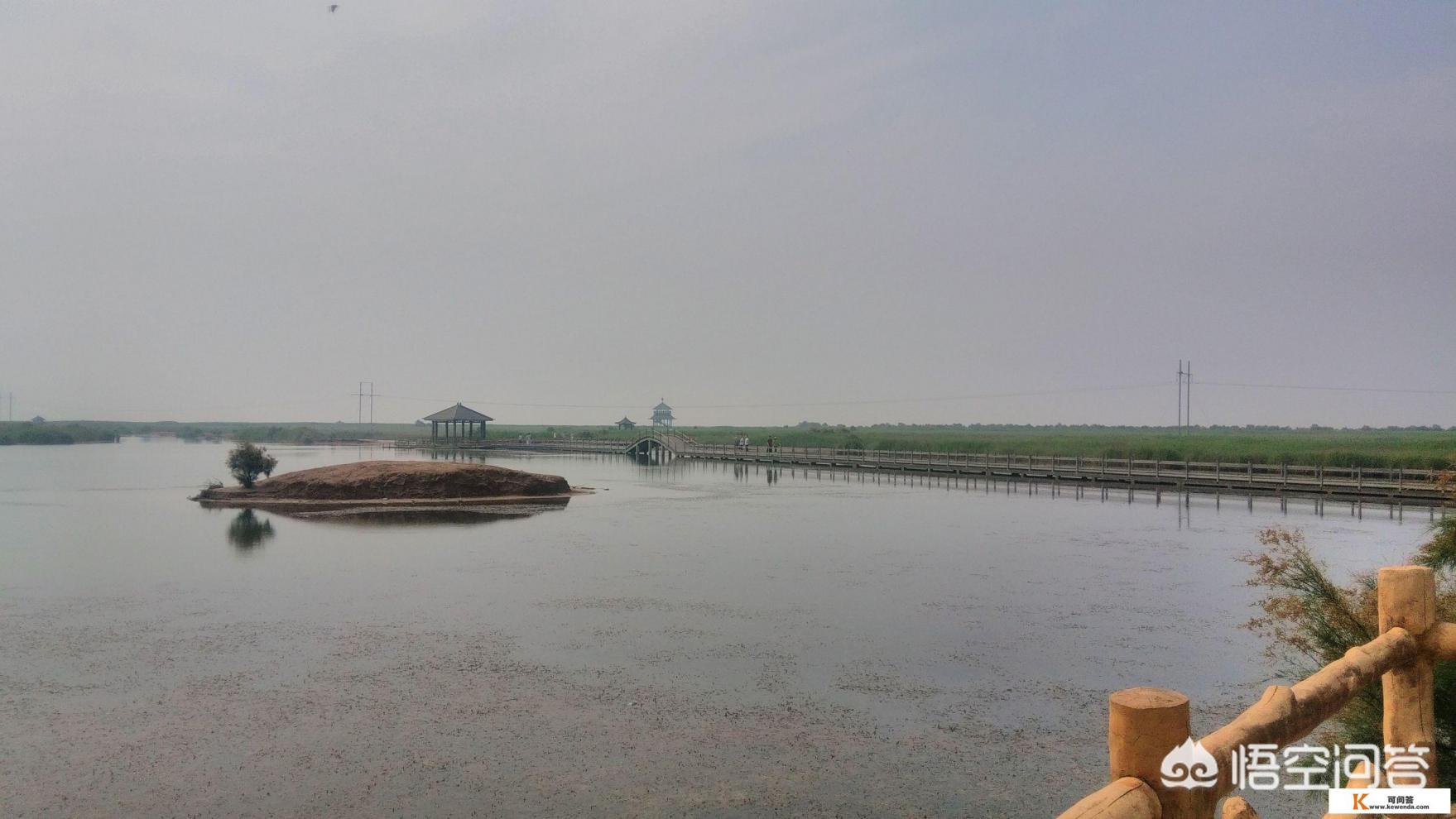 八月中旬,带家人从合肥出发自驾游山东沿海城市,有什么好推荐的吗?时间10天 八月中旬,带家人从合肥出发自驾游山东沿海城市,有什么好推荐的吗?时间10天