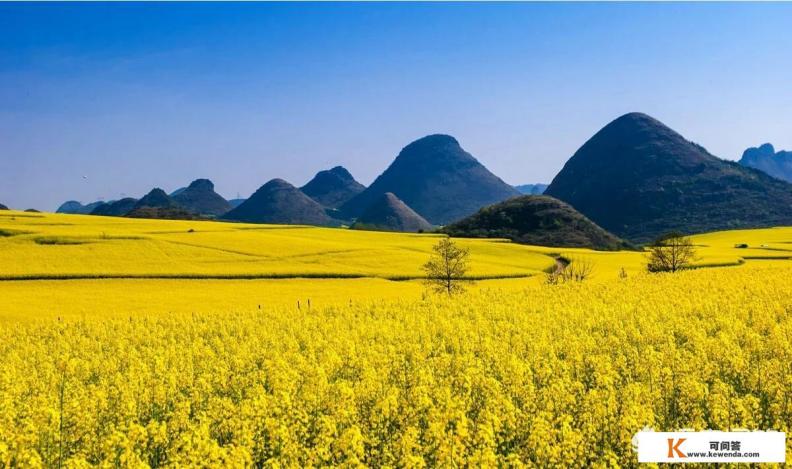 郑州附近油菜花游最佳景点