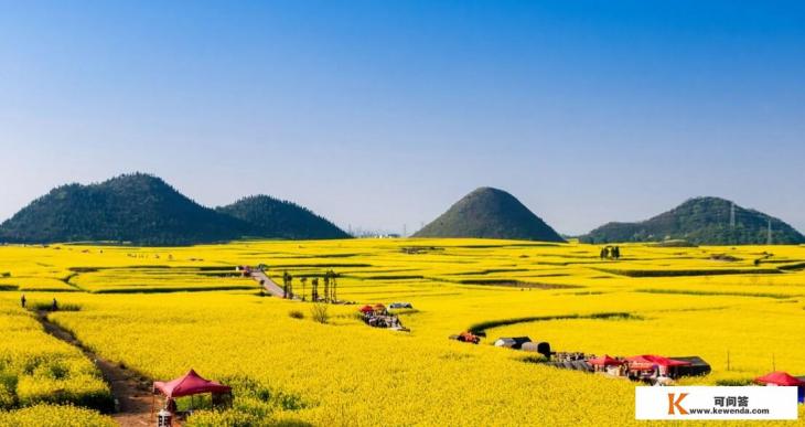 郑州附近油菜花游最佳景点