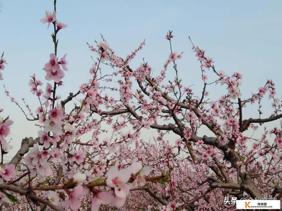 女朋友天天看小说,不陪我聊天,该怎么办 女朋友天天看小说,不陪我聊天,该怎么办