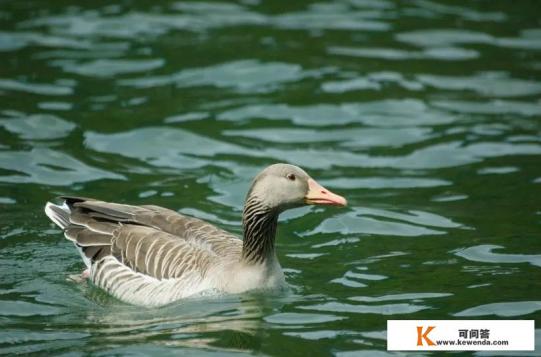 我21岁,喜欢上了一个有夫之妇,已经不能自拔了,该怎么办 我21岁,喜欢上了一个有夫之妇,已经不能自拔了,该怎么办
