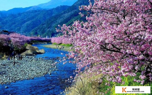 云南6天5晚纯游玩含来回机票，旅行社报价980一人，有坑吗