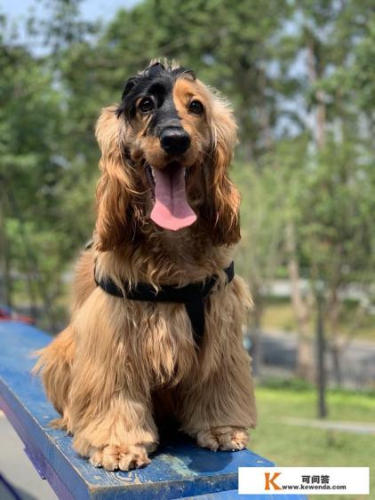 大家觉得旅游有必要买个微单吗 大家觉得旅游有必要买个微单吗