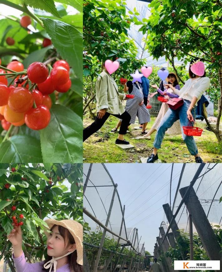 嵊州可以去哪些地方一日游