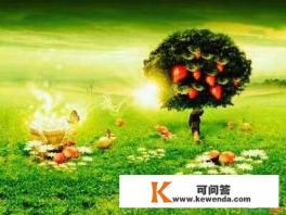 大家做梦时，有没有遇到过好像重复之前做过的梦一样，是怎样的