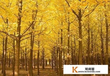 前任说我没长大,不想等了,但就一直说做朋友,这是什么状况 前任说我没长大,不想等了,但就一直说做朋友,这是什么状况