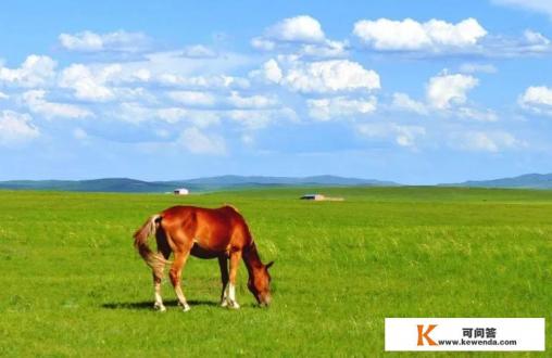 七月二十号左右长春自驾内蒙呼伦贝尔，大家推荐一下路线，住宿吧