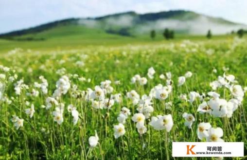 七月二十号左右长春自驾内蒙呼伦贝尔，大家推荐一下路线，住宿吧