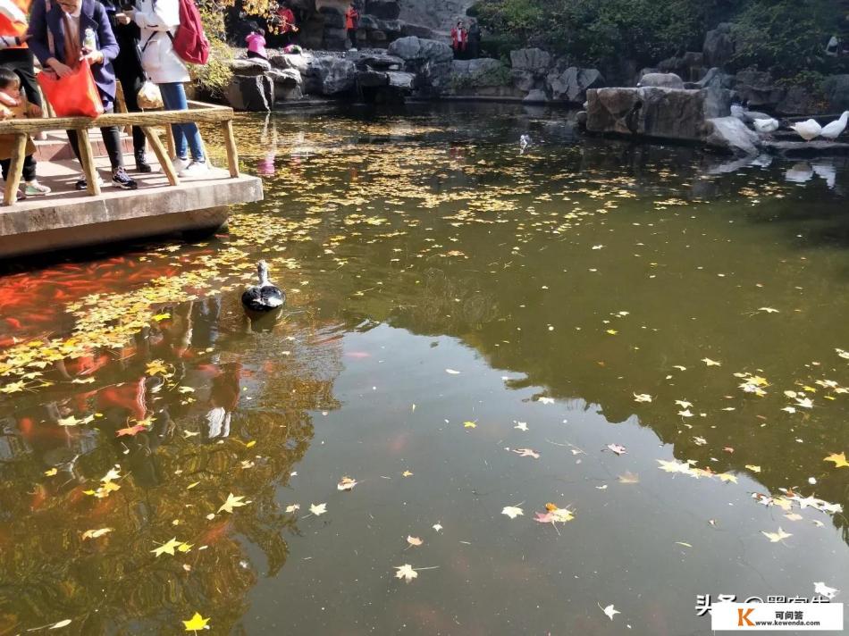 春节全国旅游排名 春节全国旅游排名