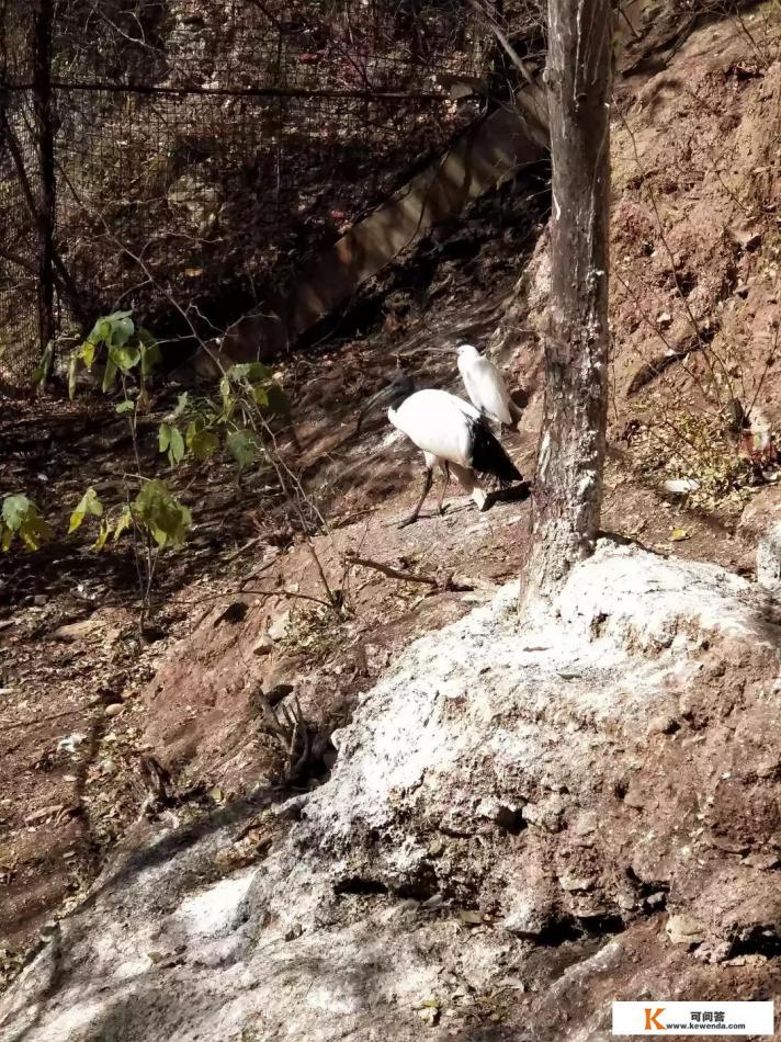 春节全国旅游排名 春节全国旅游排名