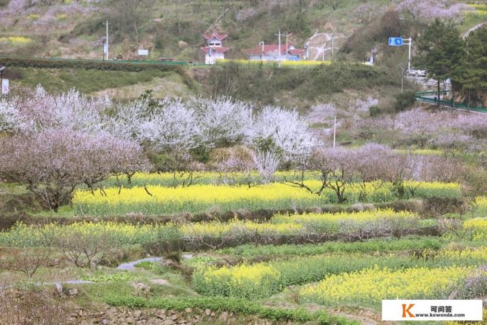 春季如春的城市 春季如春的城市
