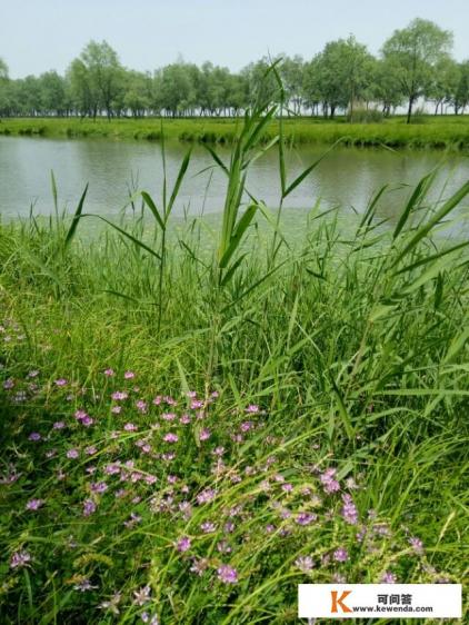 安徽在发展乡村旅游上,取得了哪些成绩 安徽在发展乡村旅游上,取得了哪些成绩