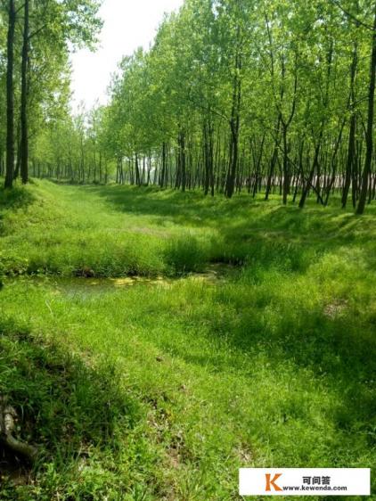 安徽在发展乡村旅游上,取得了哪些成绩 安徽在发展乡村旅游上,取得了哪些成绩