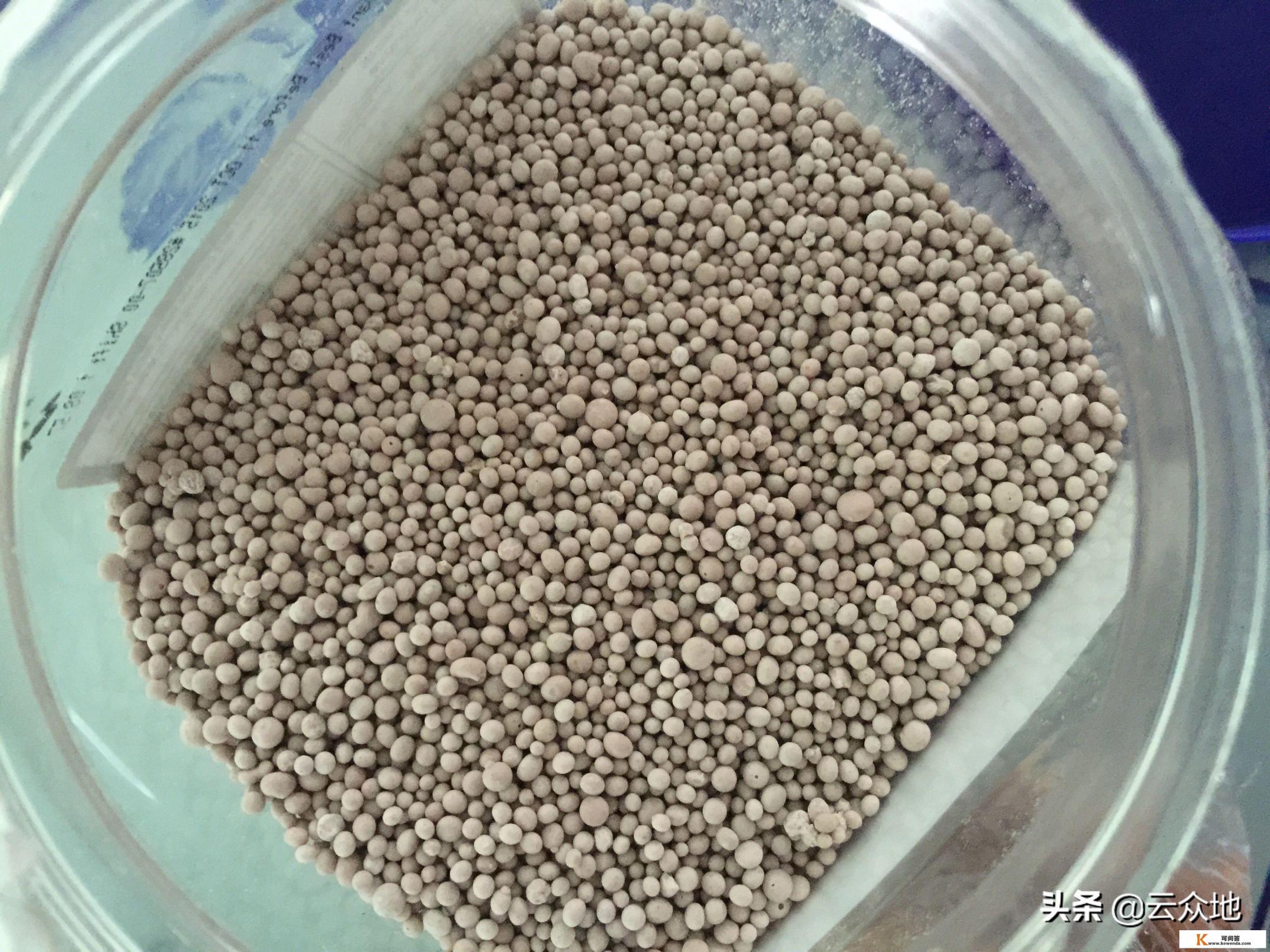 尿素连续降价，复合肥还会涨吗？最新报价是多少