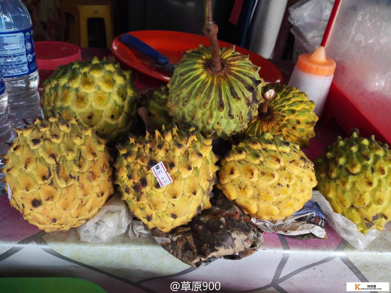 沙巴，这三个岛－环滩岛、蓝环岛、迪加岛，选择一日游哪个岛更好玩