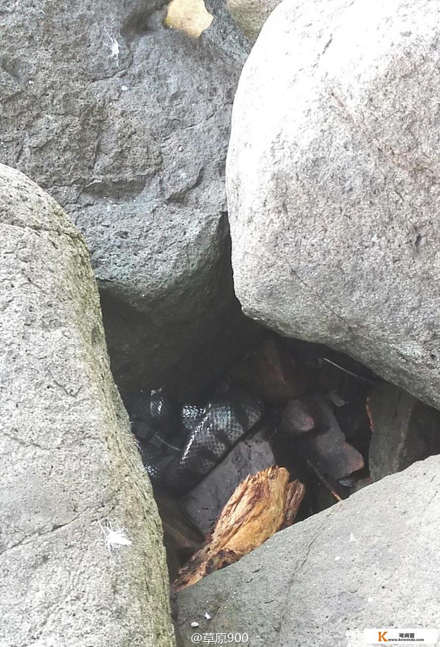 沙巴，这三个岛－环滩岛、蓝环岛、迪加岛，选择一日游哪个岛更好玩