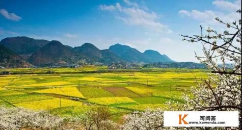 泰安油菜花旅游地点推荐