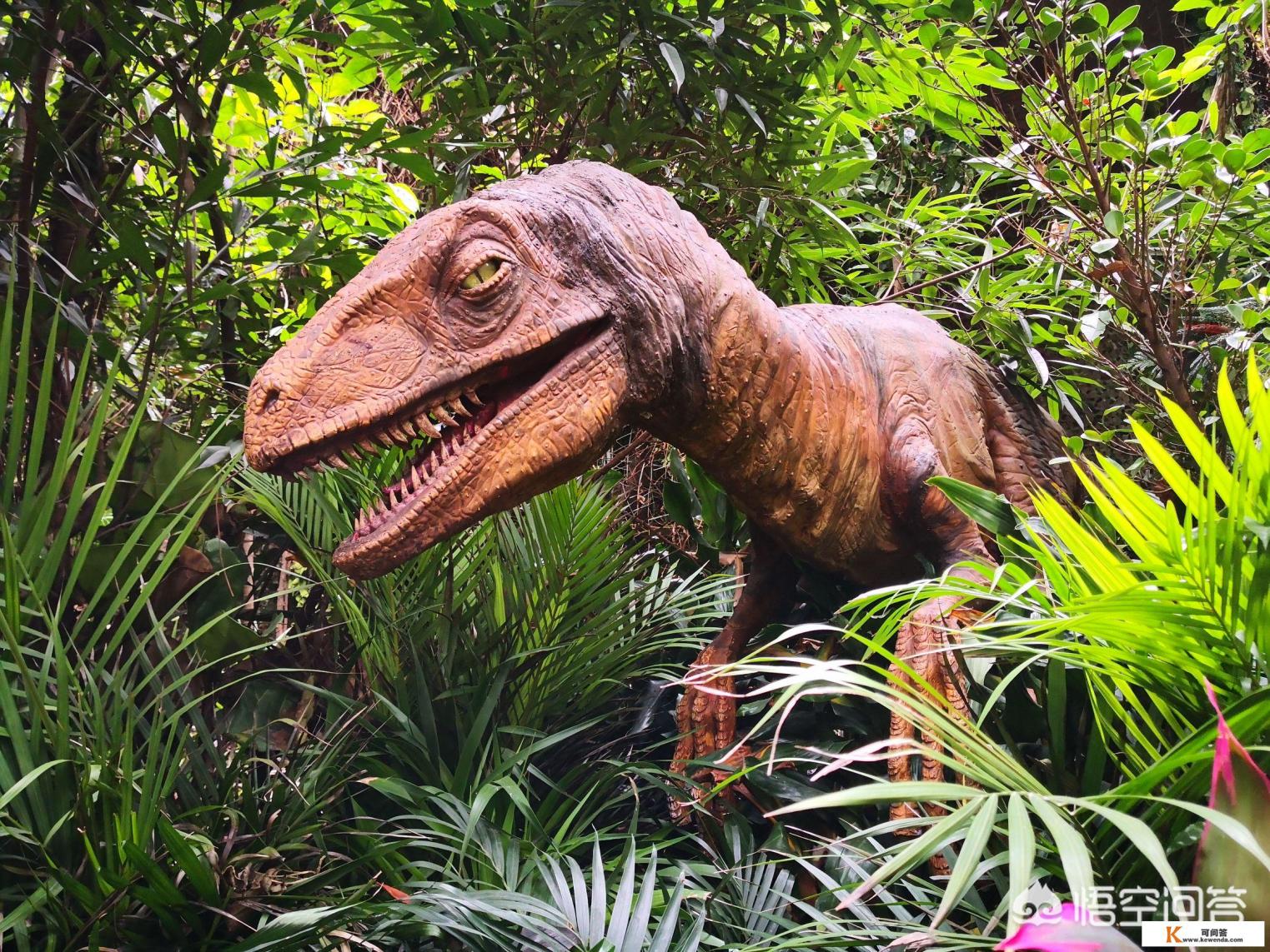 去了广州长隆动物世界,珠海的长隆海洋王国还值得去吗 去了广州长隆动物世界,珠海的长隆海洋王国还值得去吗