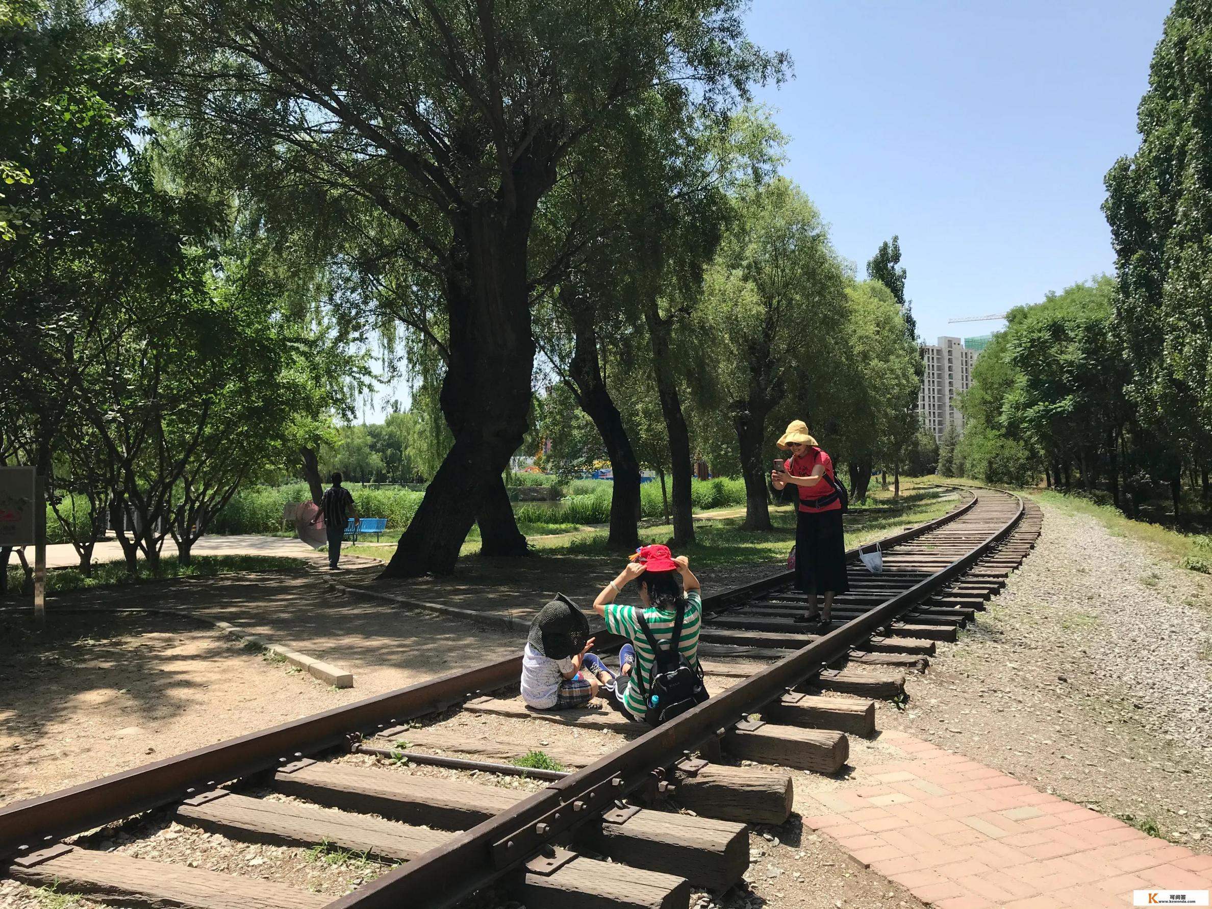 你手机里有哪些好看的照片