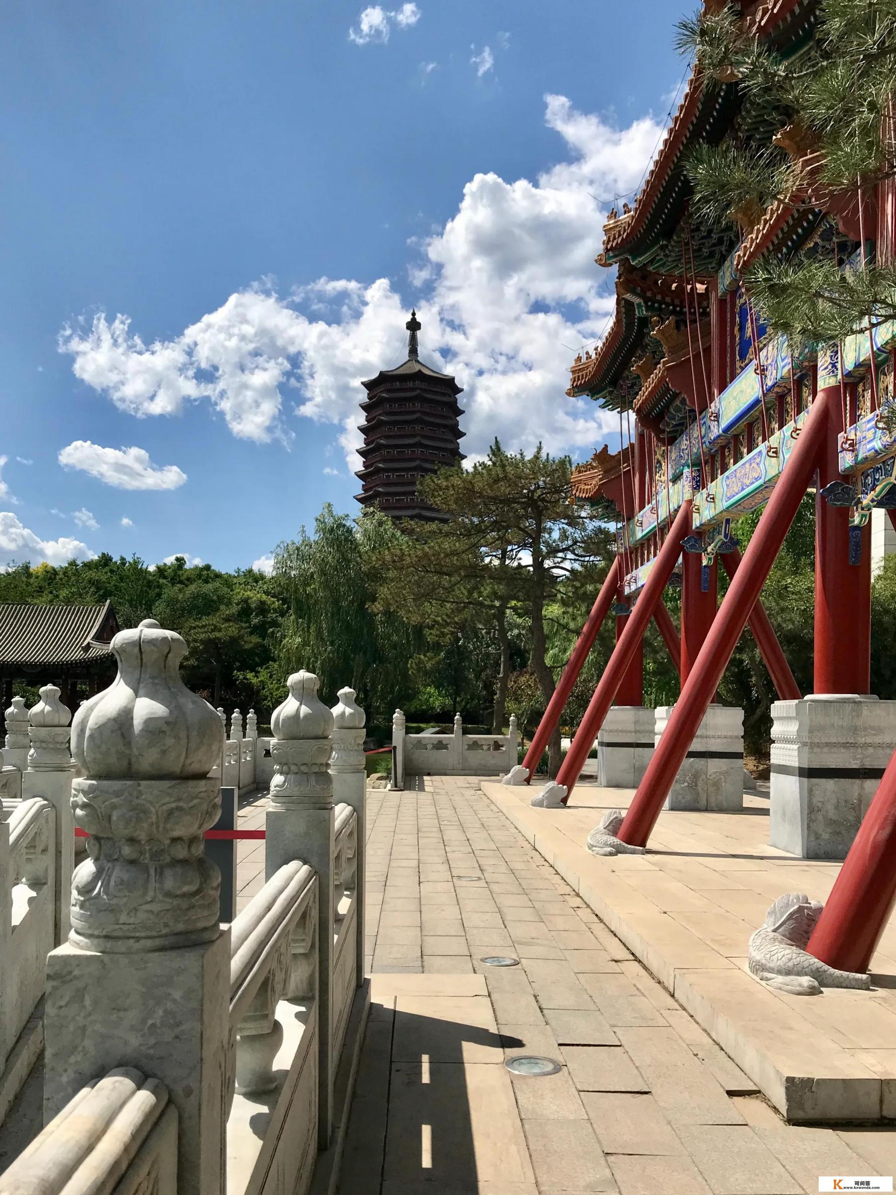 你手机里有哪些好看的照片