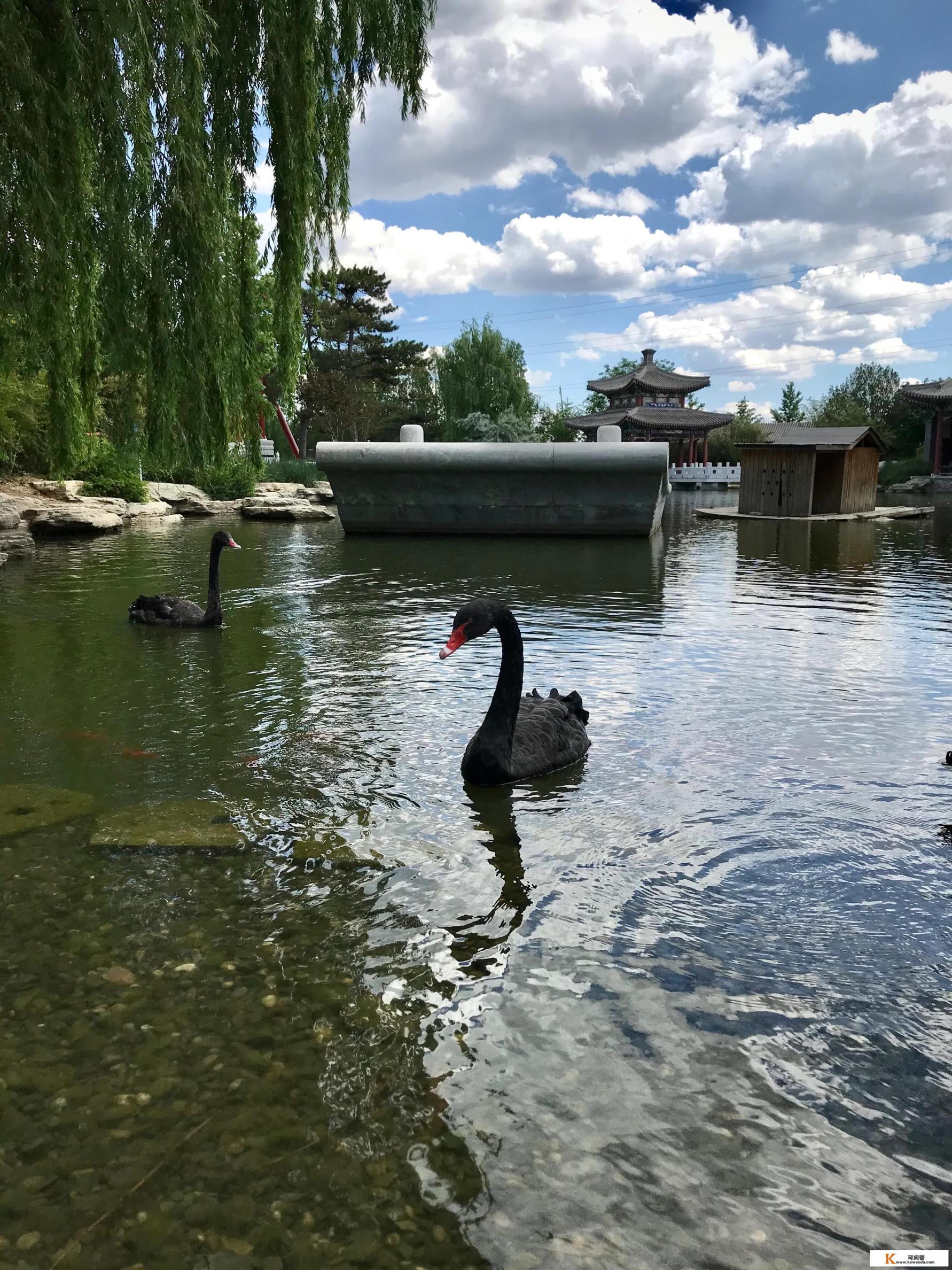 你手机里有哪些好看的照片