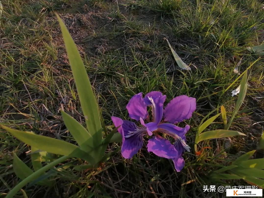 现在出去旅游或者游玩，拍照你选择带数码相机还是带手机拍照啊