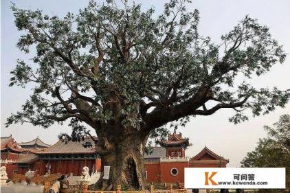 平遥古城北门游览路线 平遥古城北门游览路线