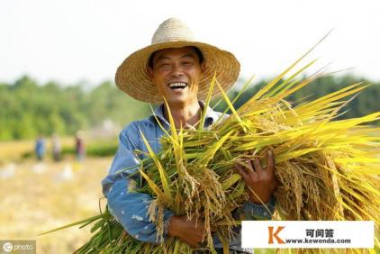 如果农民失去了土地和宅基地，子孙后代会怎样
