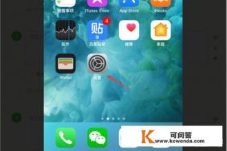怎么查苹果手机的机型