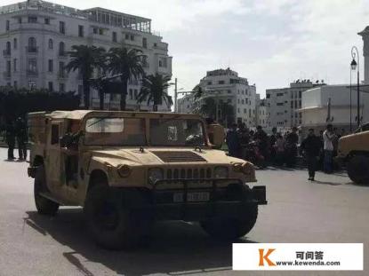 特战行动女头目是谁主演