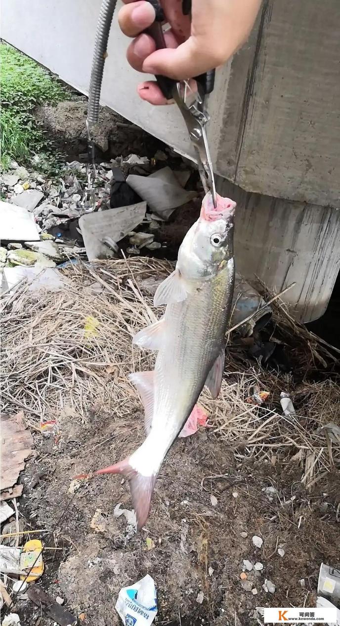 成都周边哪些比较近的免费钓点可以分享