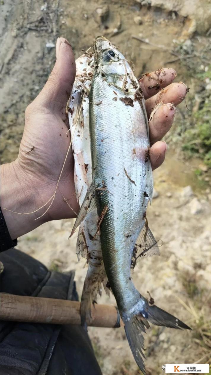 成都周边哪些比较近的免费钓点可以分享