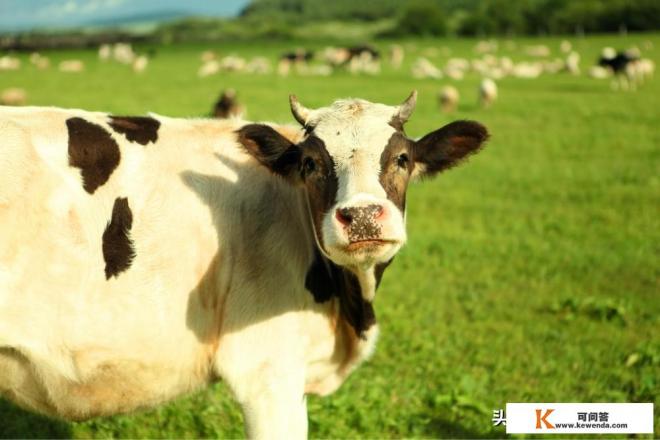 意大利旅游资源特色