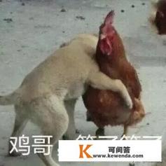 “充气娃娃体验馆”是否算卖淫嫖娼？是否触犯法律