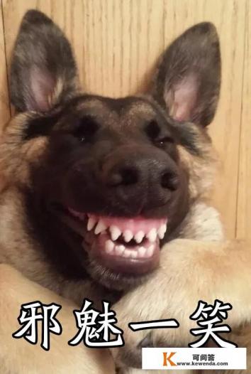 “充气娃娃体验馆”是否算卖淫嫖娼？是否触犯法律