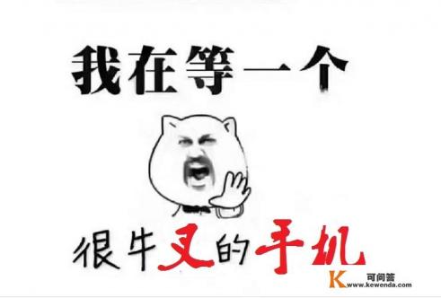 买手机很纠结，是买便宜的新款，还是买配置高的老款旗舰