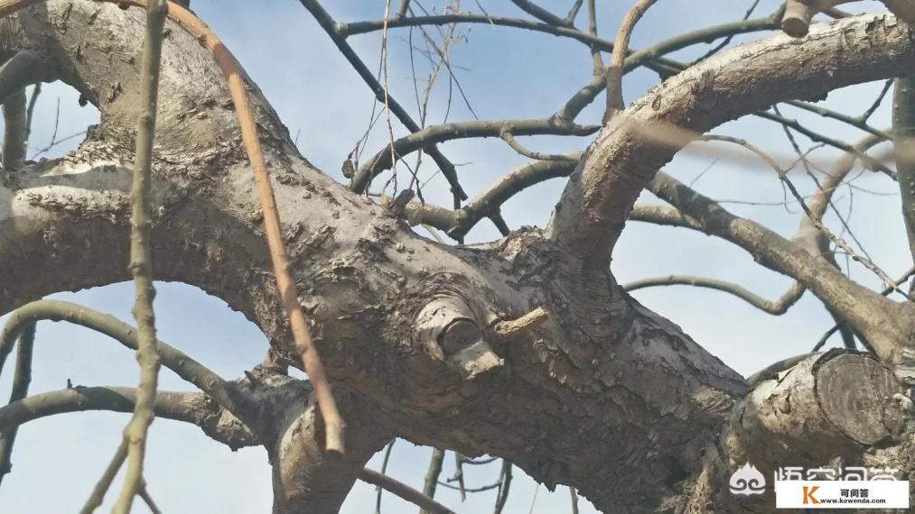 oppo手机同价格和别的国产手机比怎样