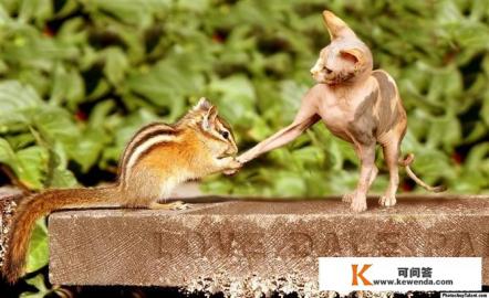 在恋爱中,为什么有些人总觉得自己爱对方比对方爱自己多一点 在恋爱中,为什么有些人总觉得自己爱对方比对方爱自己多一点