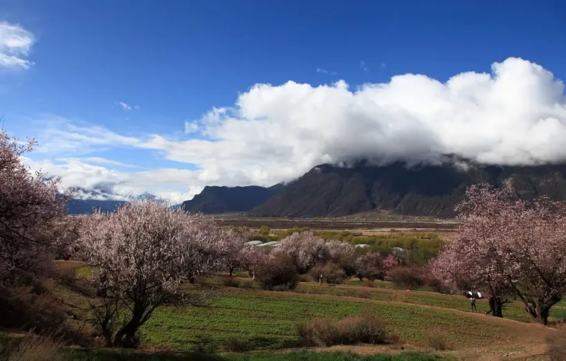 两天一夜适合去哪旅游