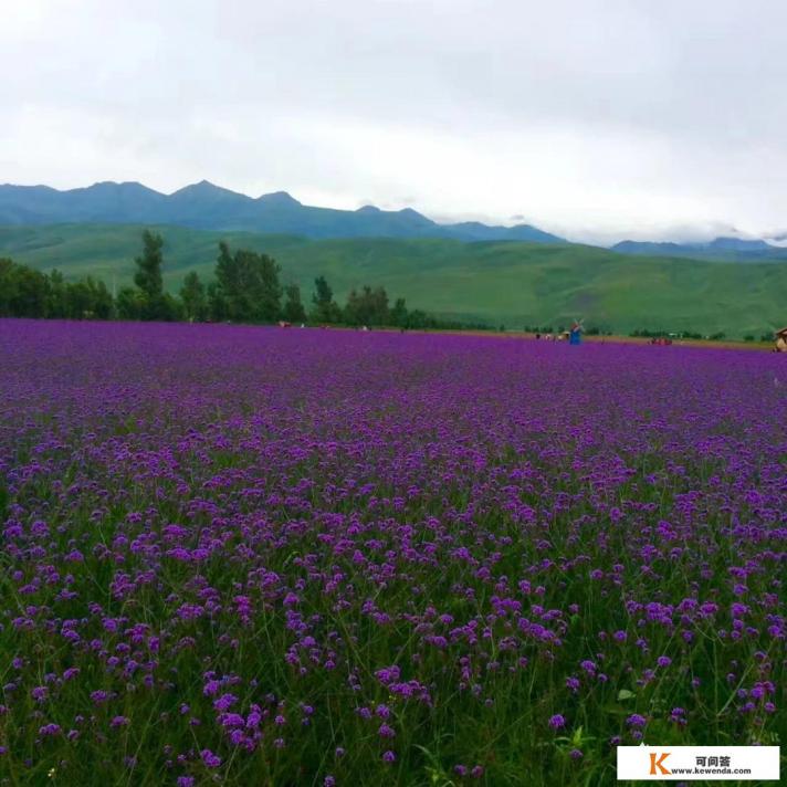 新疆几月份去最好?南疆和北疆应该如何选择 新疆几月份去最好?南疆和北疆应该如何选择