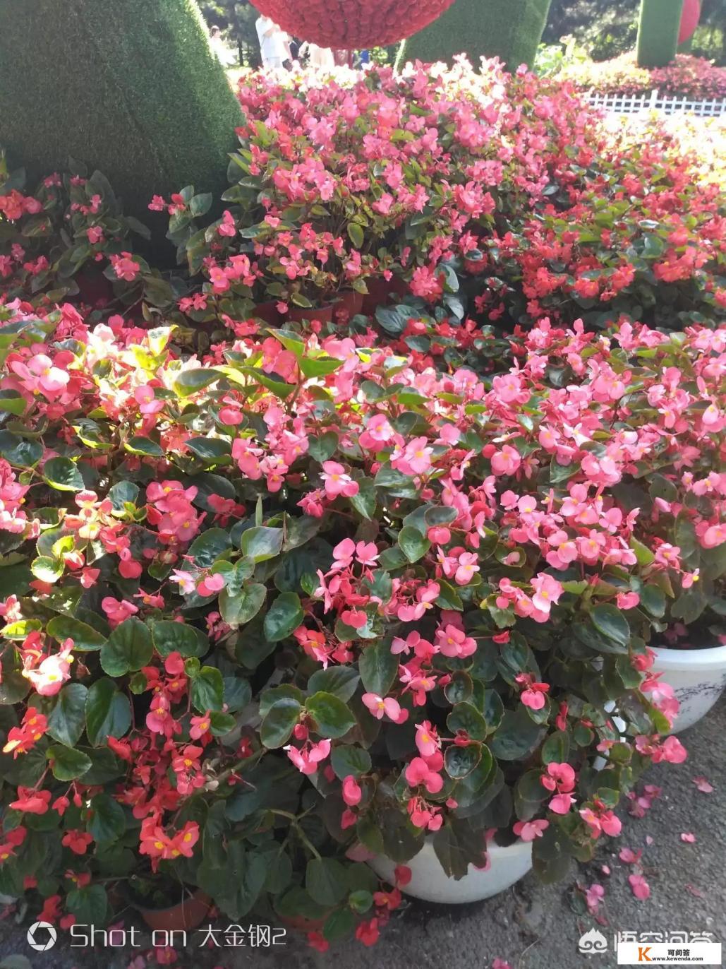 沈阳有哪些好玩的地方，沈阳好玩的景点推荐十大