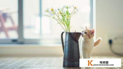 邻家小妹出轨被老公发现了,被他打得半死,可怜吗?女性如何保护自己啊 邻家小妹出轨被老公发现了,被他打得半死,可怜吗?女性如何保护自己啊