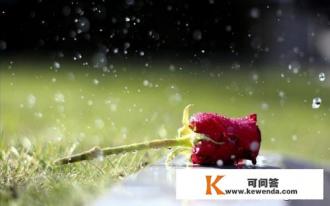 邻家小妹出轨被老公发现了,被他打得半死,可怜吗?女性如何保护自己啊 邻家小妹出轨被老公发现了,被他打得半死,可怜吗?女性如何保护自己啊