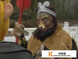 猴子的活动范围和生活规律