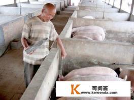 2022.1.12明日猪价屡创新低价养殖户受不了,东北这次能否领涨 2022.1.12明日猪价屡创新低价养殖户受不了,东北这次能否领涨