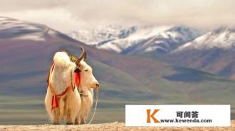 对喜欢旅游的人都来说，一生必去的地方都有哪些