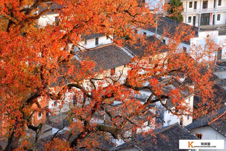 各位达人，11月初去婺源景区哪个地方人少景色美，或者最原始的村落？谢了