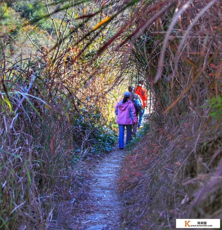 各位达人，11月初去婺源景区哪个地方人少景色美，或者最原始的村落？谢了